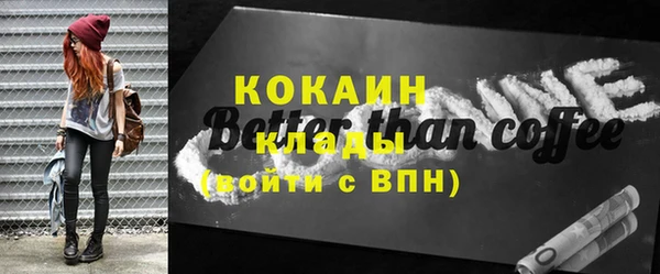 кокс Алексин