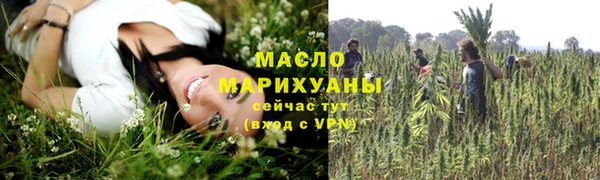 амф Новозыбков