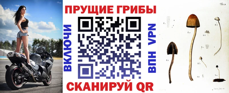 blacksprut ONION  Октябрьск  Псилоцибиновые грибы MAGIC MUSHROOMS 